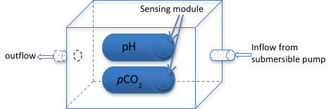 Water box for sensors