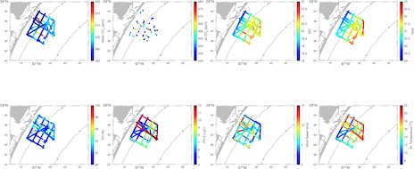 TEX-ECE Leg 1 Surface Water Condition